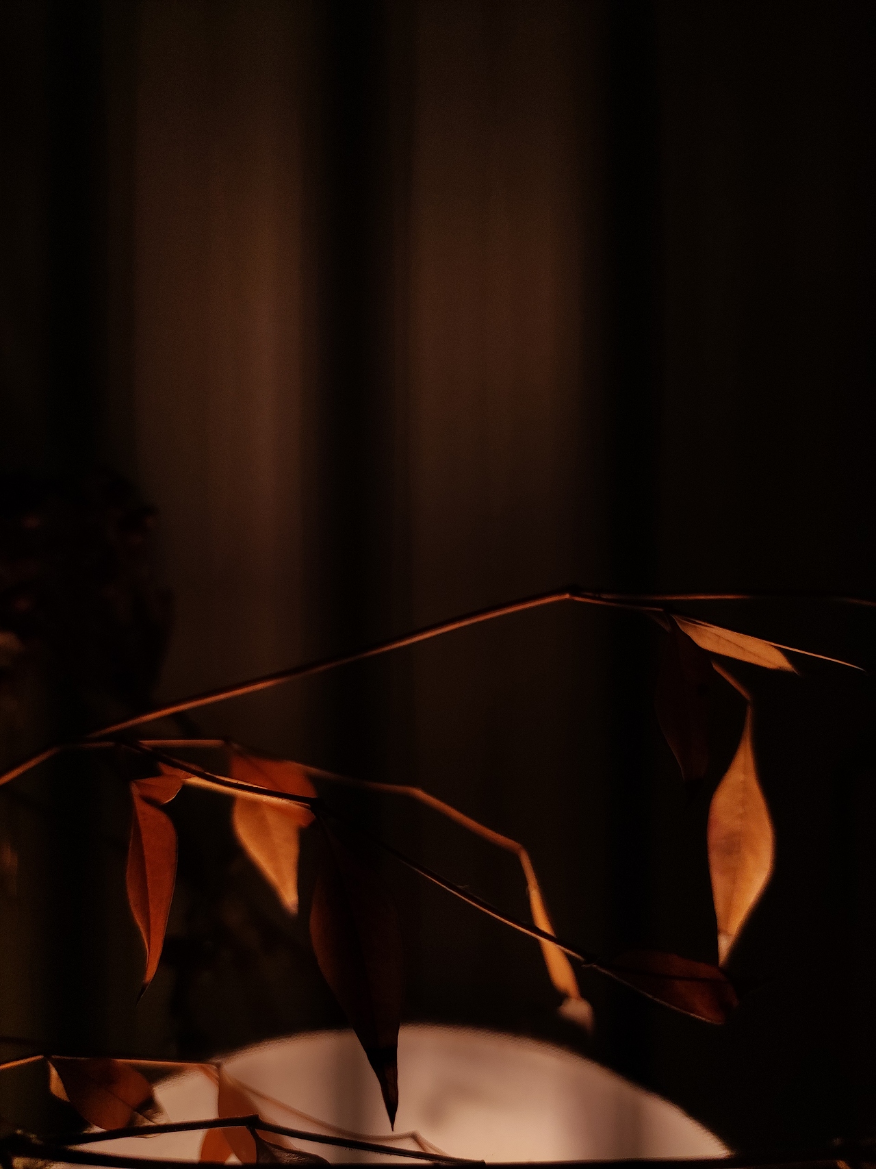 手机摄影2（图ZMjQyMDQwOTg4） - 产品摄影 - 站酷设计师191436255原创素材 - 站酷ZCOOL