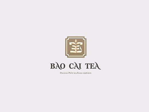 宝材茶叶全新包装体系搭建