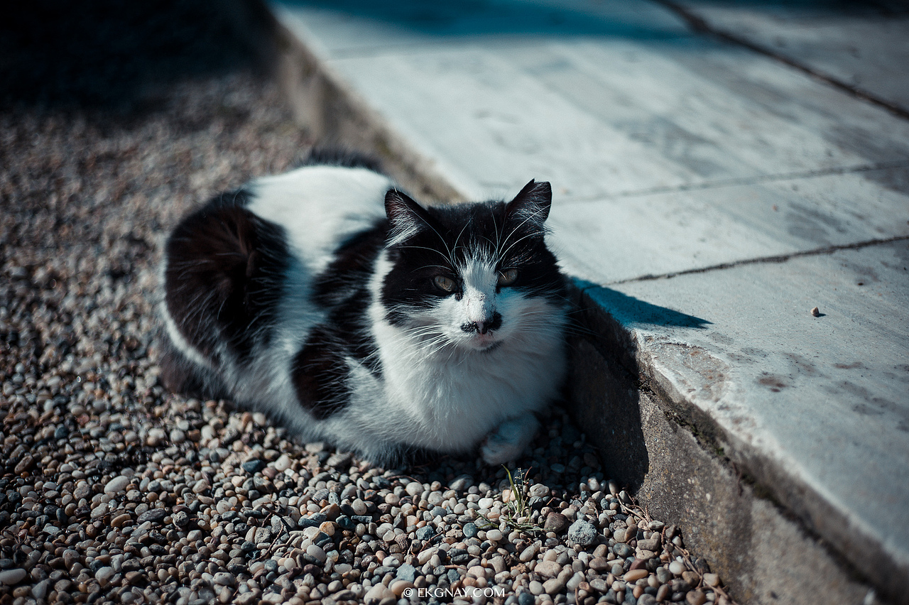 土耳其和埃及扫街杂片（图ZMjUxNjUzODQ=） - 风光摄影 - 站酷设计师树多村光原创素材 - 站酷ZCOOL