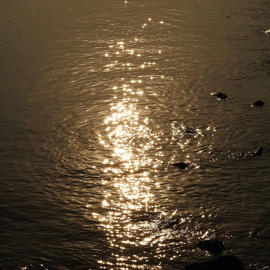 深圳生活2（图ZMjEzNTc5MDY0） - 风光摄影 - 站酷设计师九月ww原创素材 - 站酷ZCOOL