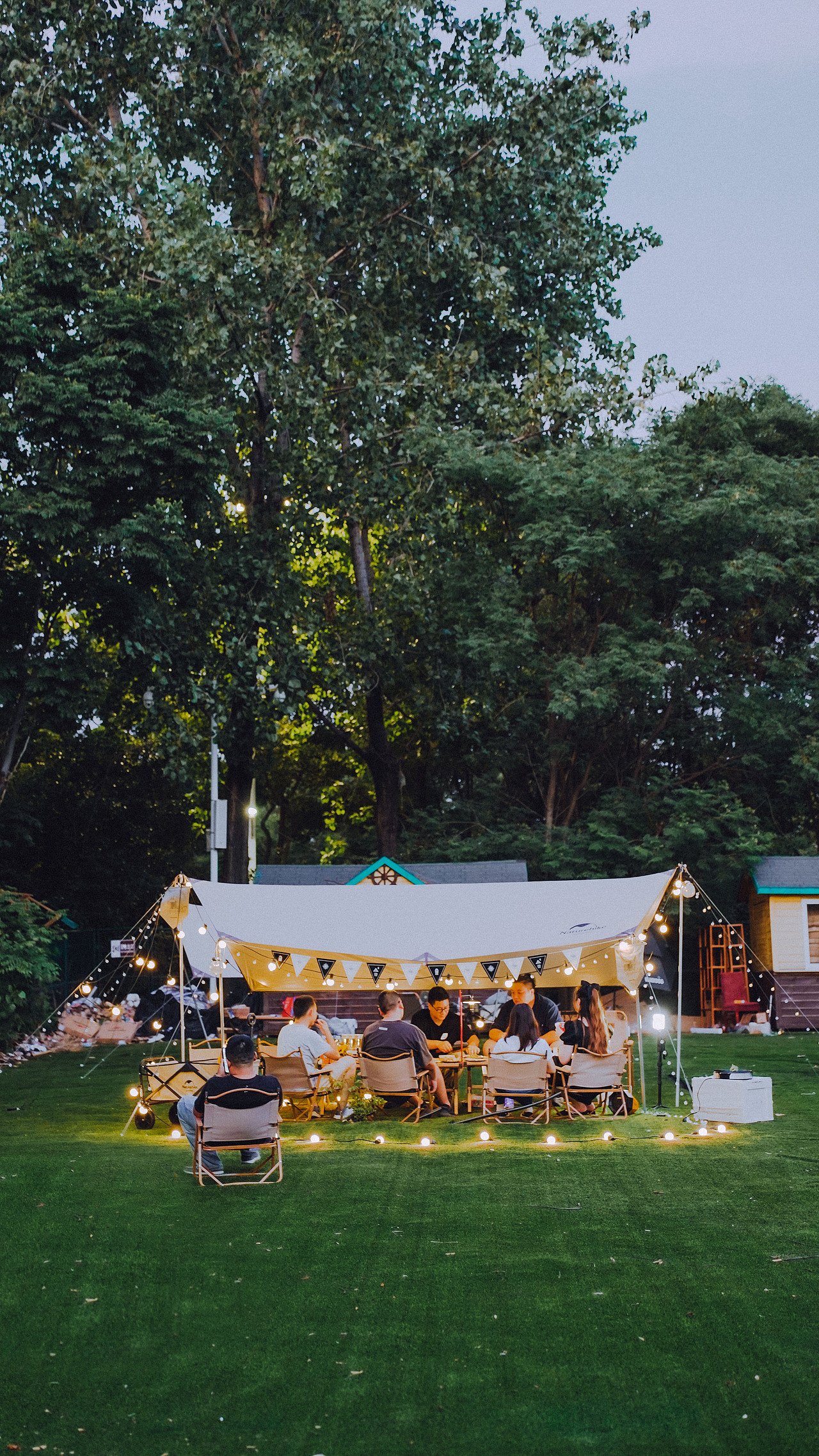 南京绿博园左岸花海露营