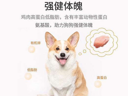 宠物狗粮主图设计（个人主页-ZNTM1OTgyMTI=） - 其他 - 站酷设计师Z29393454原创素材 - 站酷ZCOOL