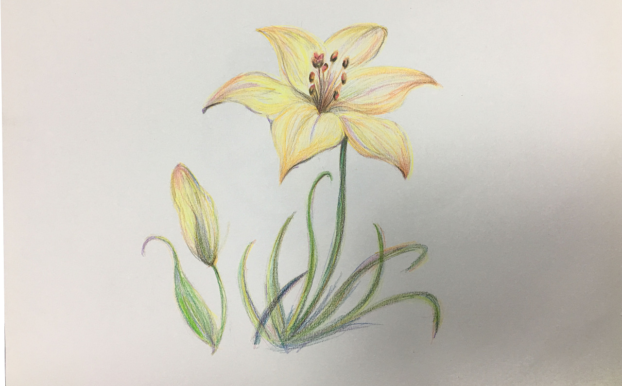 彩铅集|纯艺术|彩铅|erauzi - 临摹作品 - 站酷 (zcool)