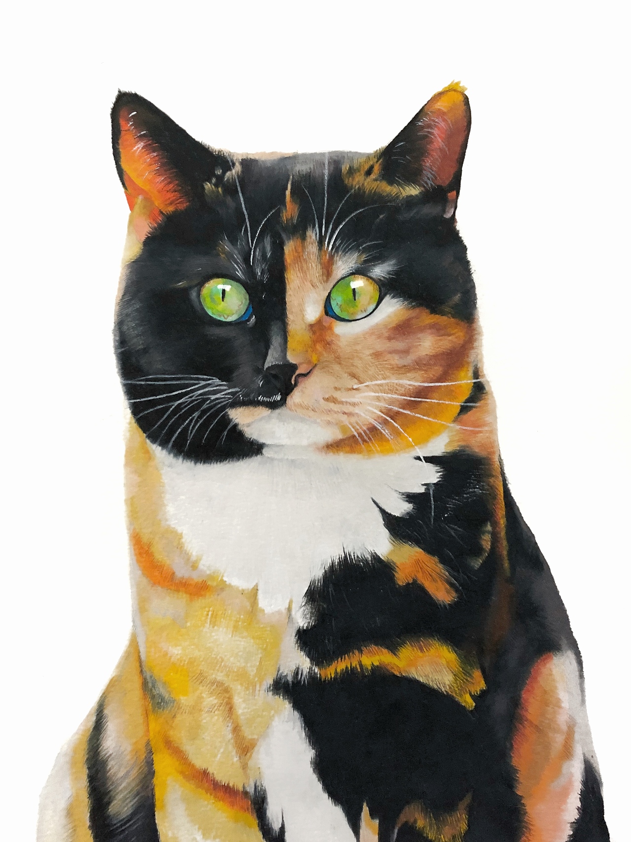 画册《观复猫 妙笔生猫非非诗》