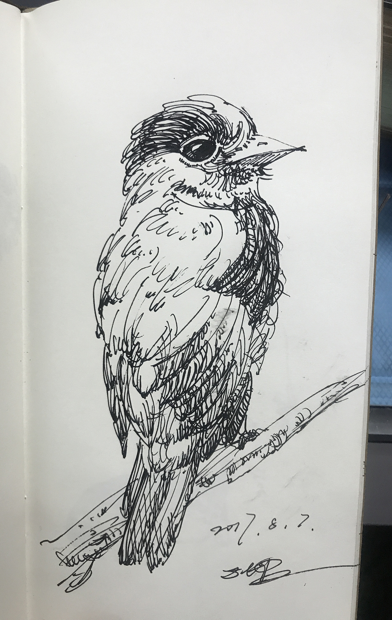 五分钟钢笔速写多图