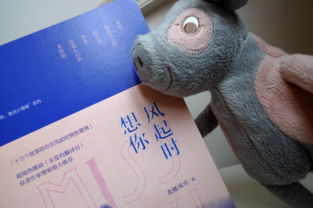 《风起时想你》 装帧设计_喃风-站酷zcool