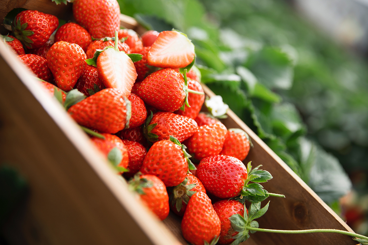 奈雪的茶｜霸气芝士草莓（图ZMjg5ODkwNDM2） - 美食摄影 - 站酷设计师摄影师有有猫在原创素材 - 站酷ZCOOL