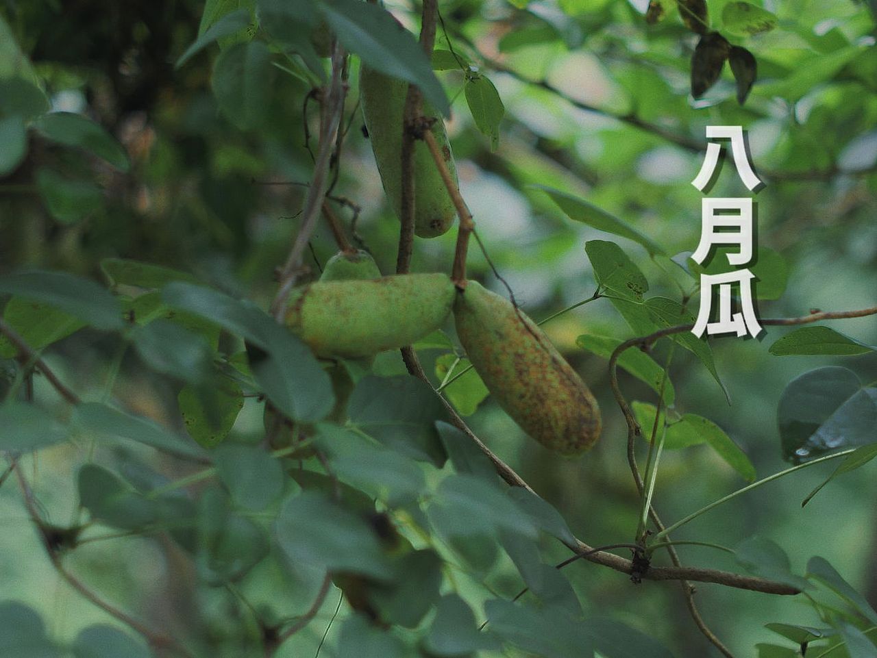 时光清浅处,岁月静好时