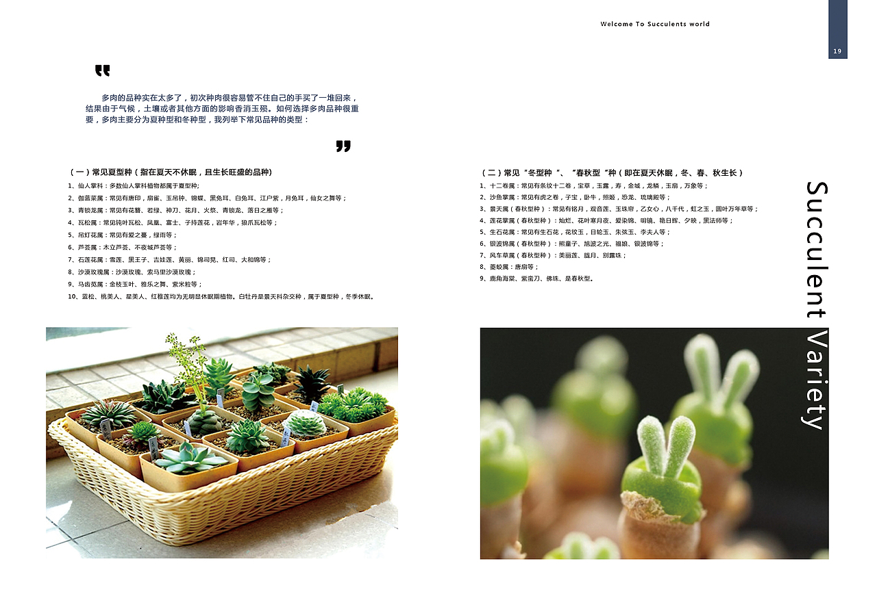 多肉植物画册设计（图ZNTY4MTA1Mjg=） - 书籍/画册 - 站酷设计师小小琦原创素材 - 站酷ZCOOL