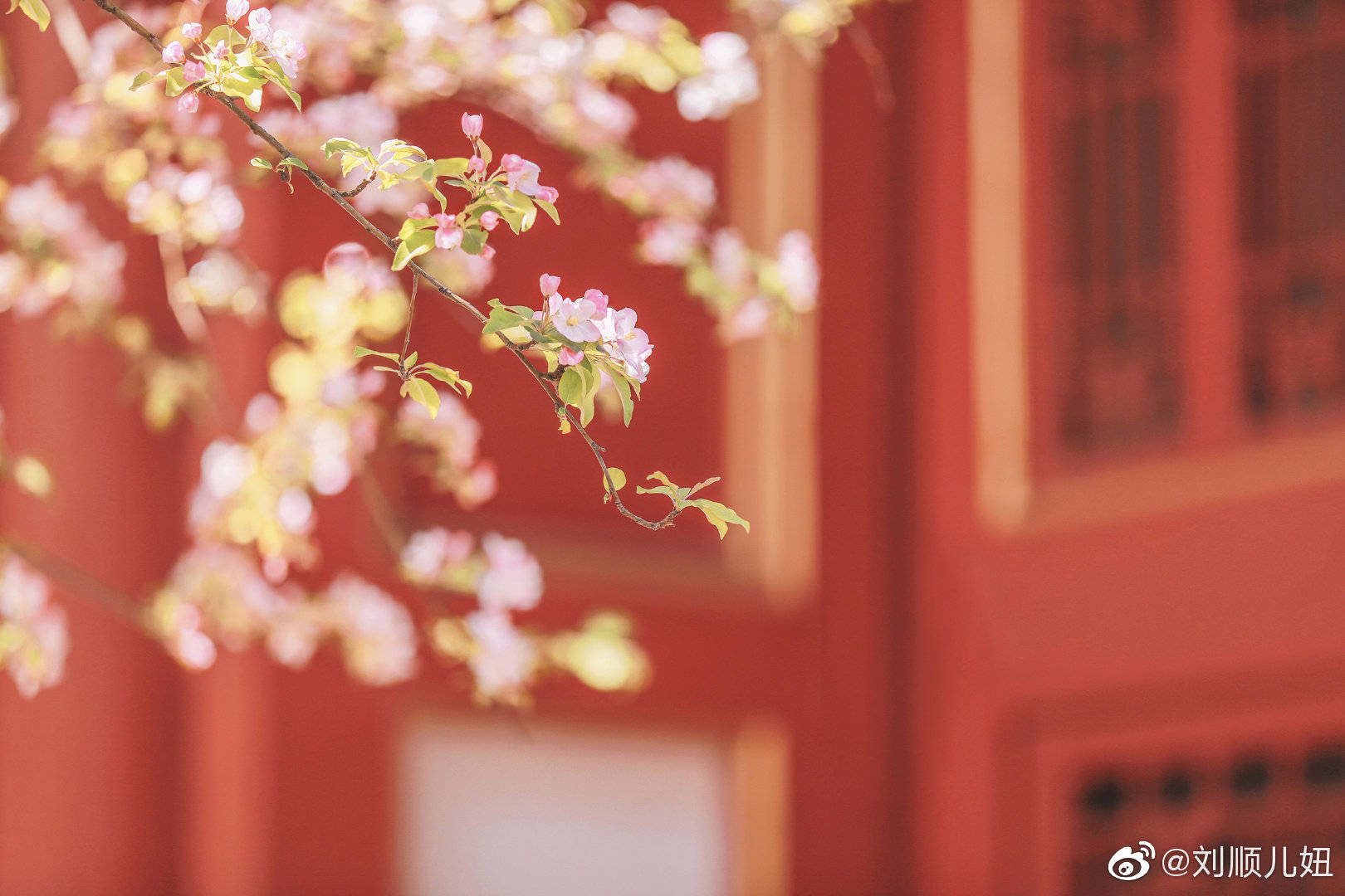 GuOJin9的個人主頁（背景預覽） - 主頁背景設置 - 站酷設計師GuOJin9原創(chuàng)素材 - 站酷ZCOOL