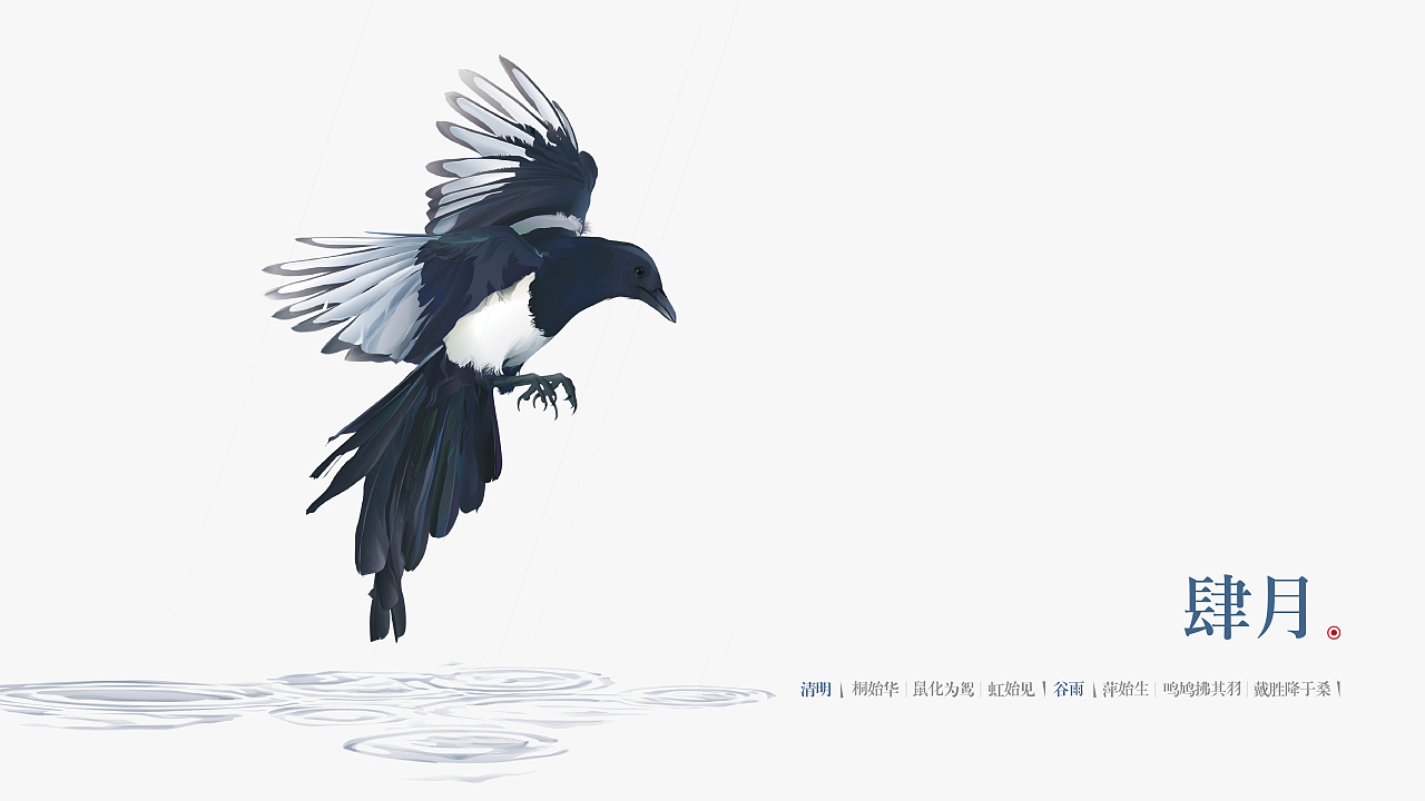 天琴山#11喜鹊 壹期壹会>|插画|商业插画|iccolee - 原创作品 - 站酷