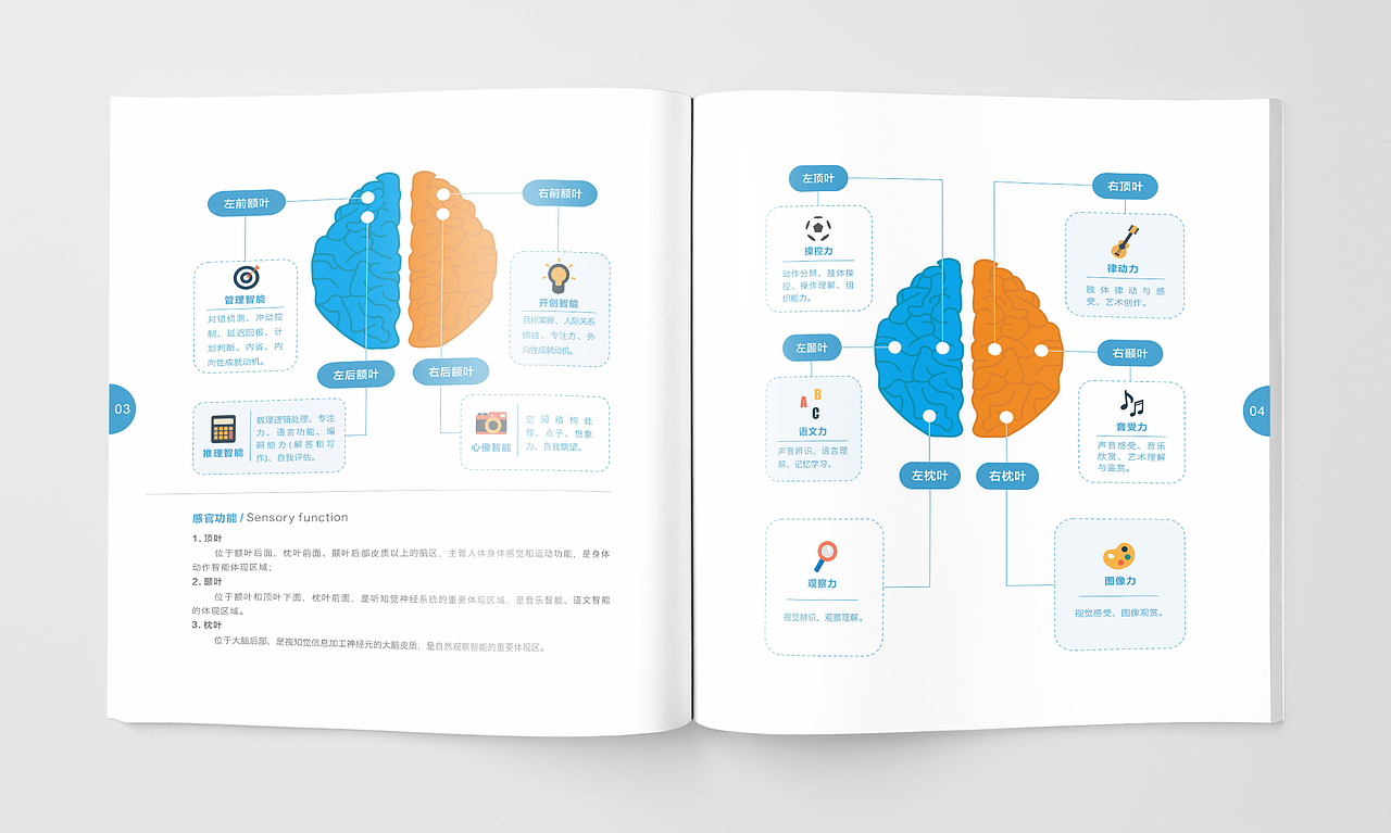 一本有关神奇的大脑的画册设计