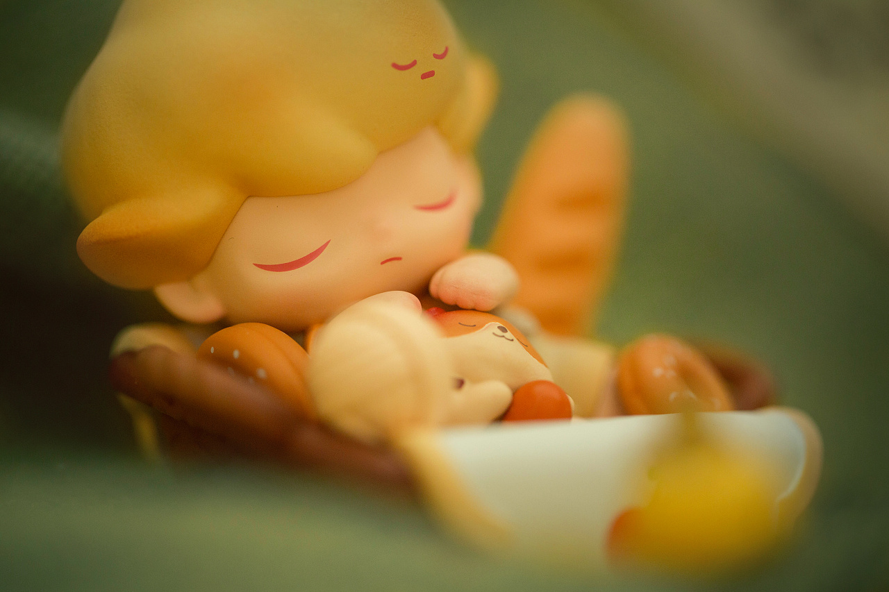 dimoo宠物度假|摄影|产品摄影|一颗小崩豆儿 - 原