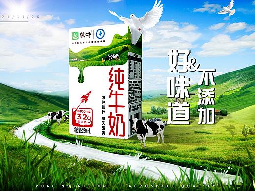 纯牛奶（食品）海报banner