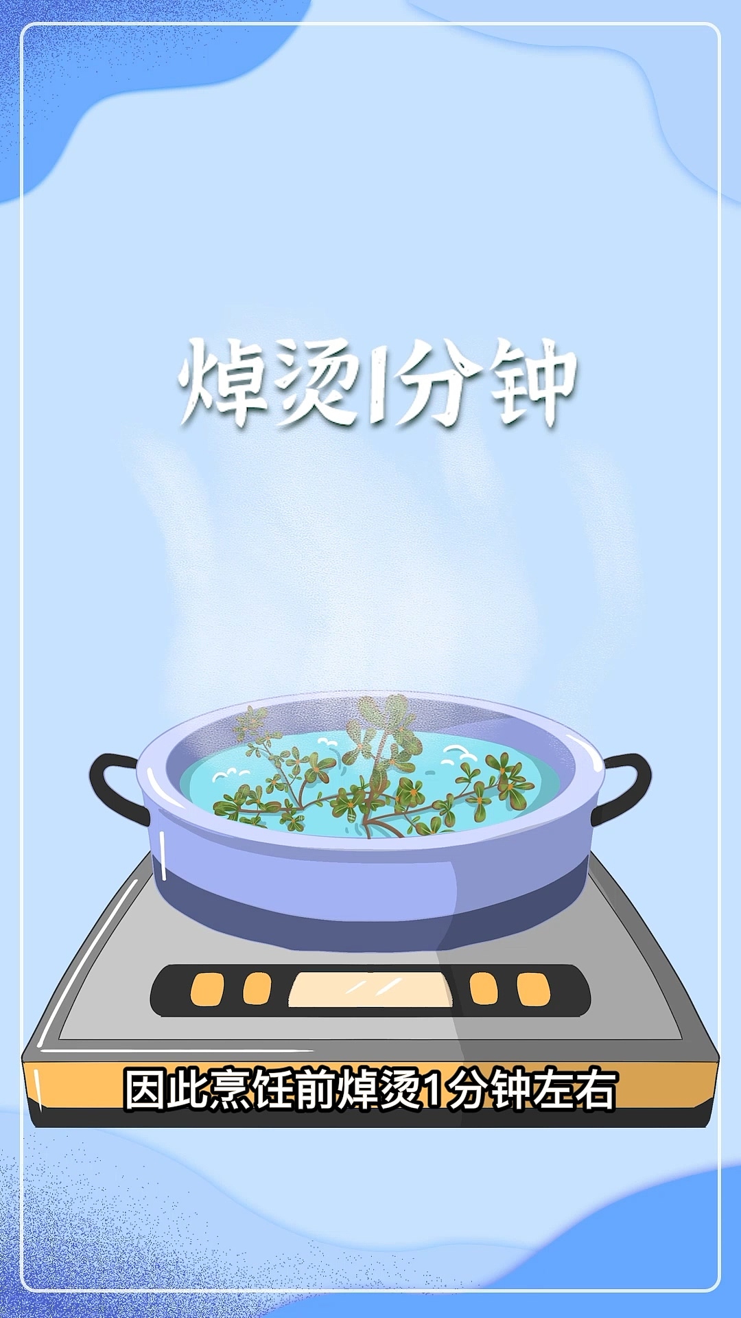 眼视界样片剪辑