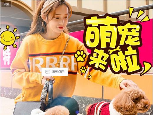 宠物衣服设计