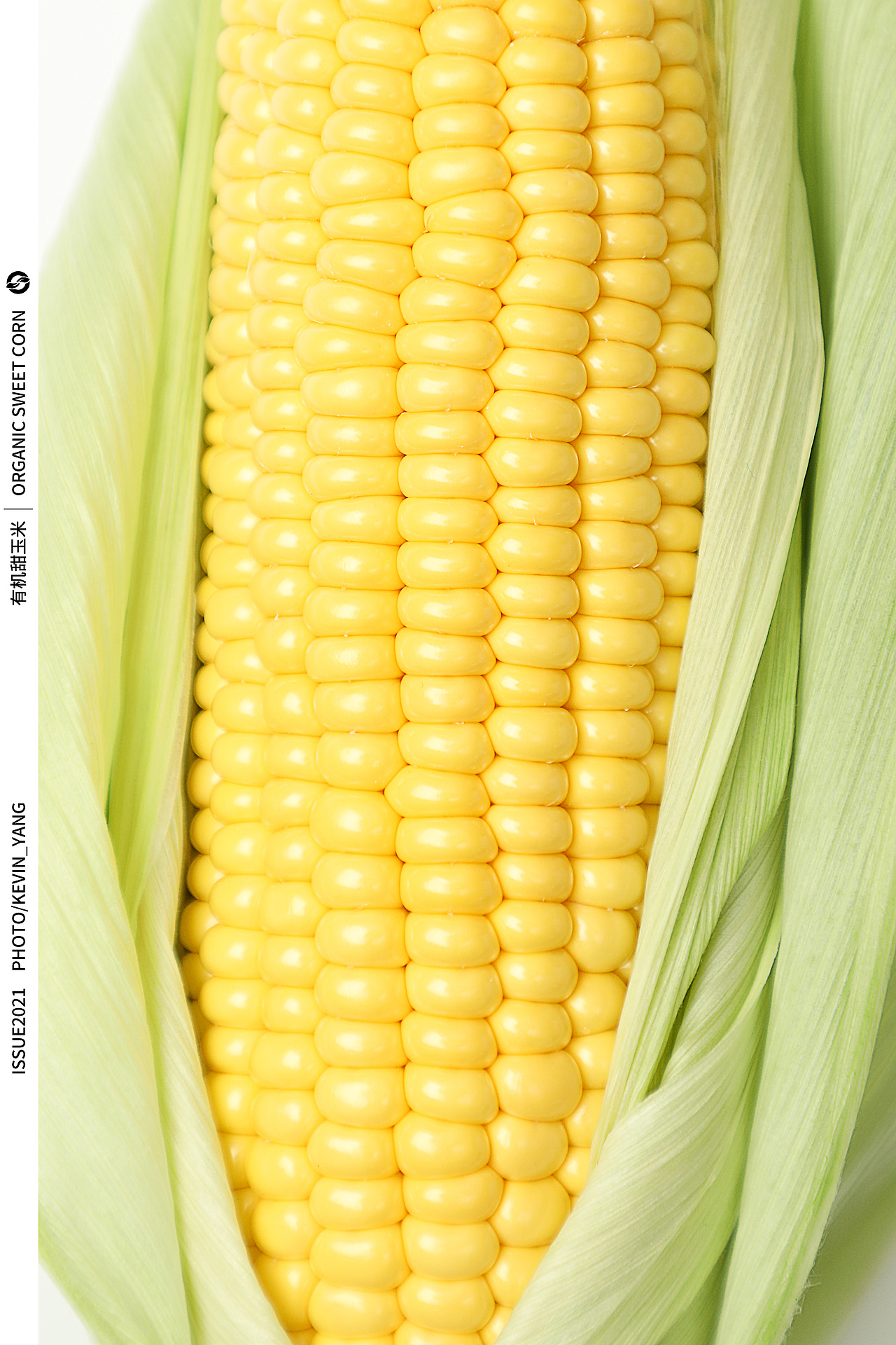 有机玉米（图ZMjcxMDU3Nzc2） - 其他摄影 - 站酷设计师举起相机的小羊原创素材 - 站酷ZCOOL