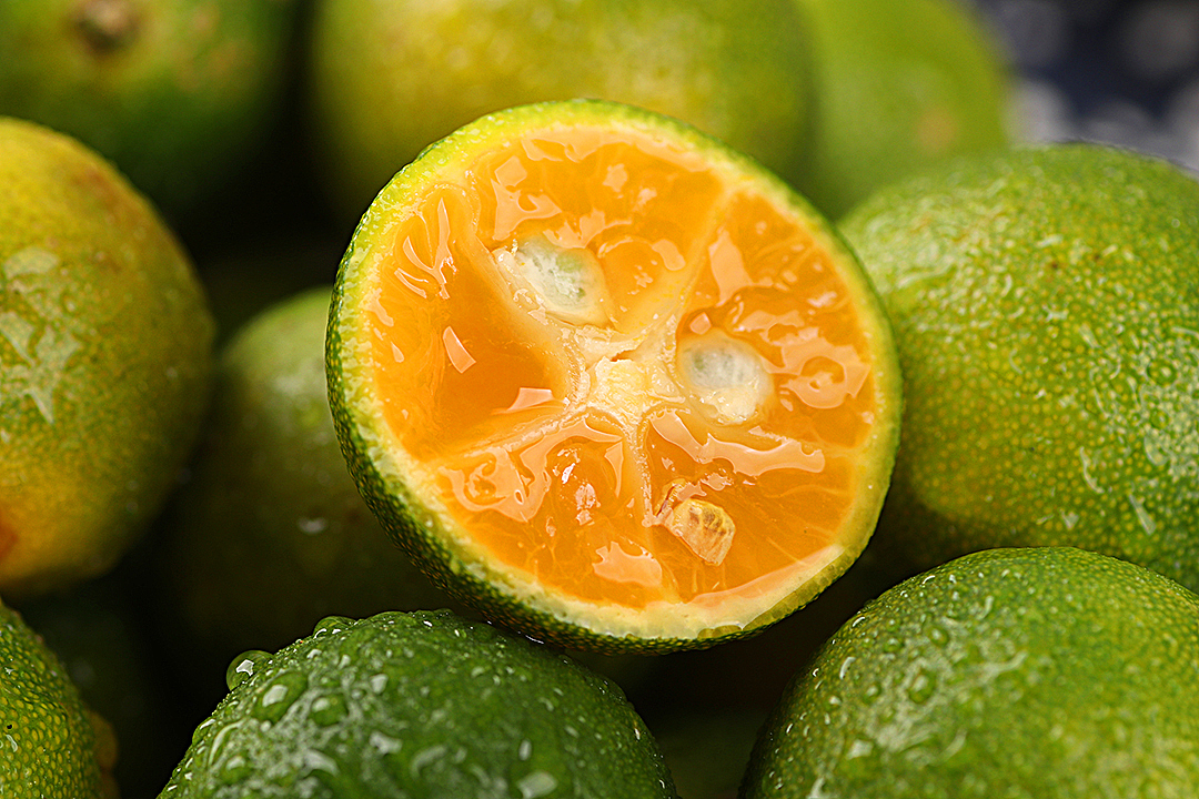 海南小青桔部分客片丨飞鸟电商专注生鲜电商拍摄设计