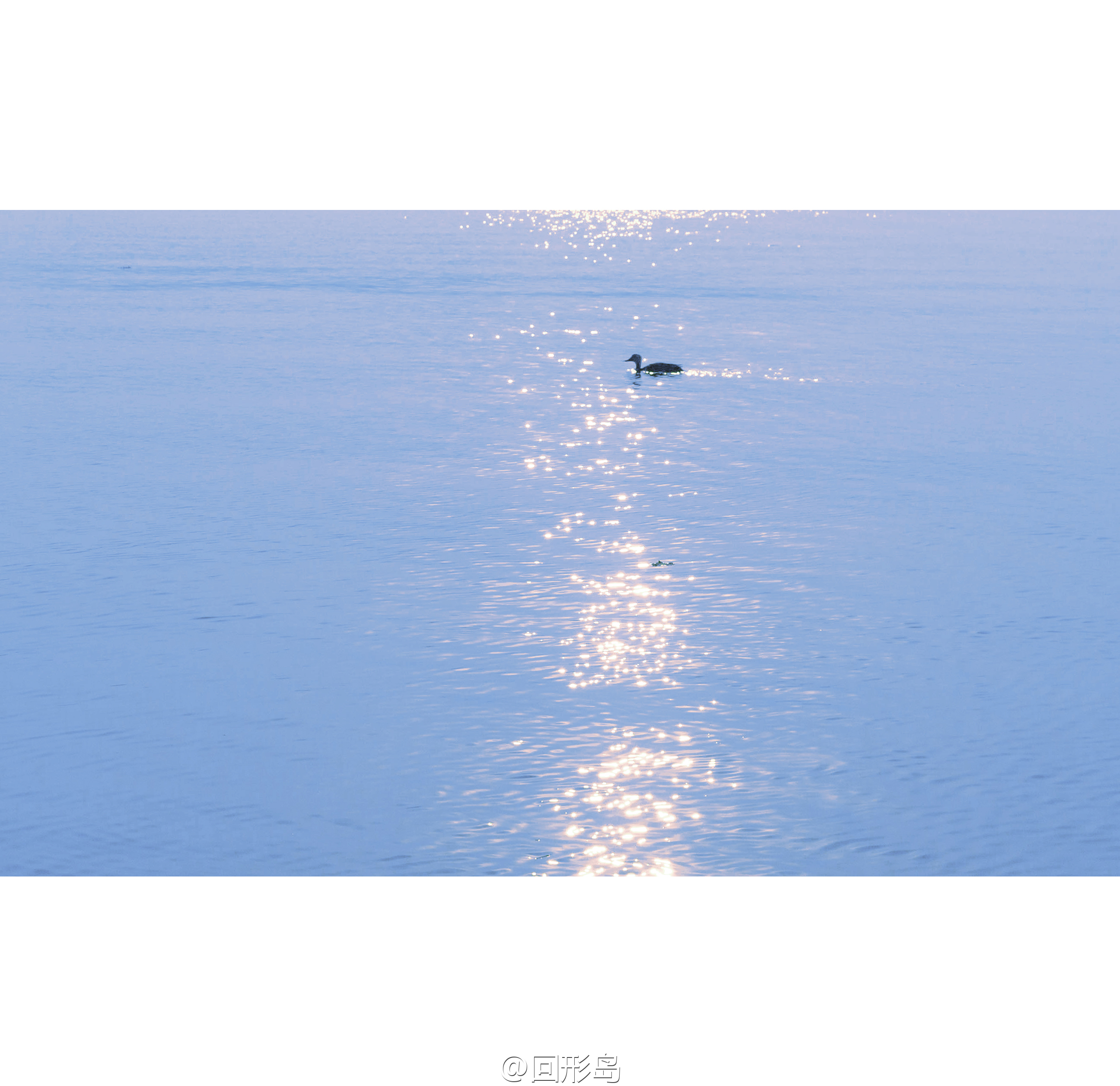 麥洛彌的個(gè)人主頁(yè)（封面預(yù)覽） - 主頁(yè)封面設(shè)置 - 站酷設(shè)計(jì)師麥洛彌原創(chuàng)素材 - 站酷ZCOOL