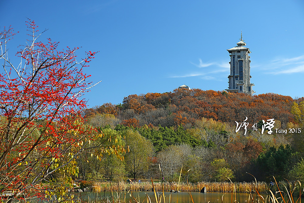 长春净月潭秋游（图ZMzUzNzU4Mjg=） - 风光摄影 - 站酷设计师marinetzk原创素材 - 站酷ZCOOL