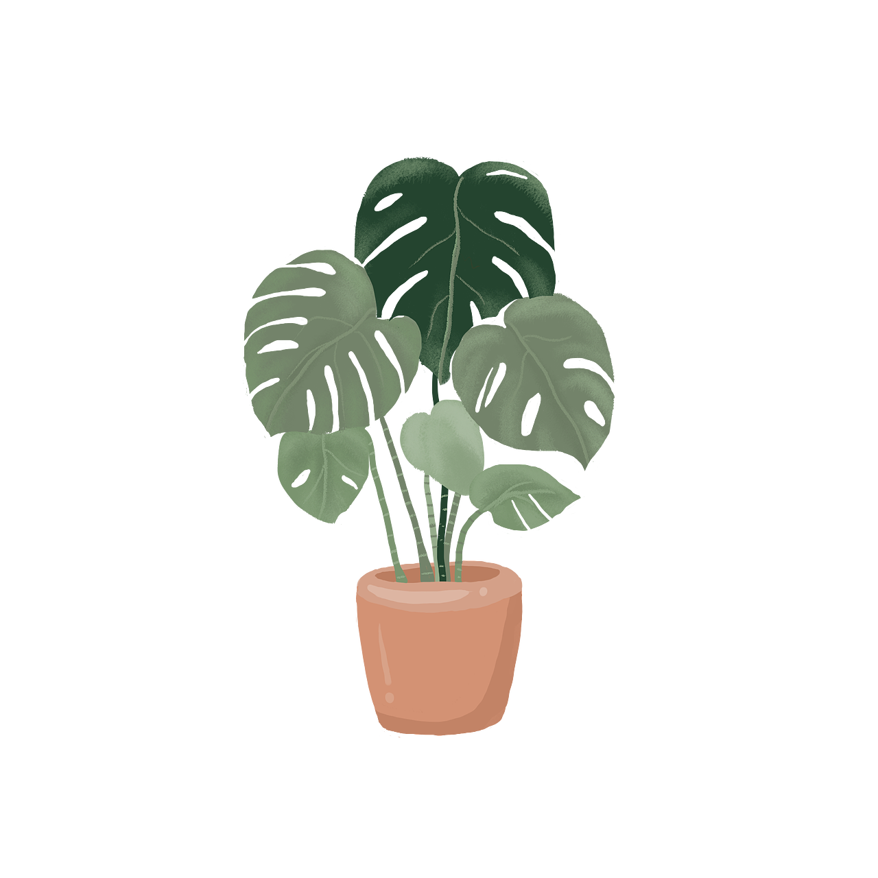 春天来了 你的小盆栽种起来了吗?