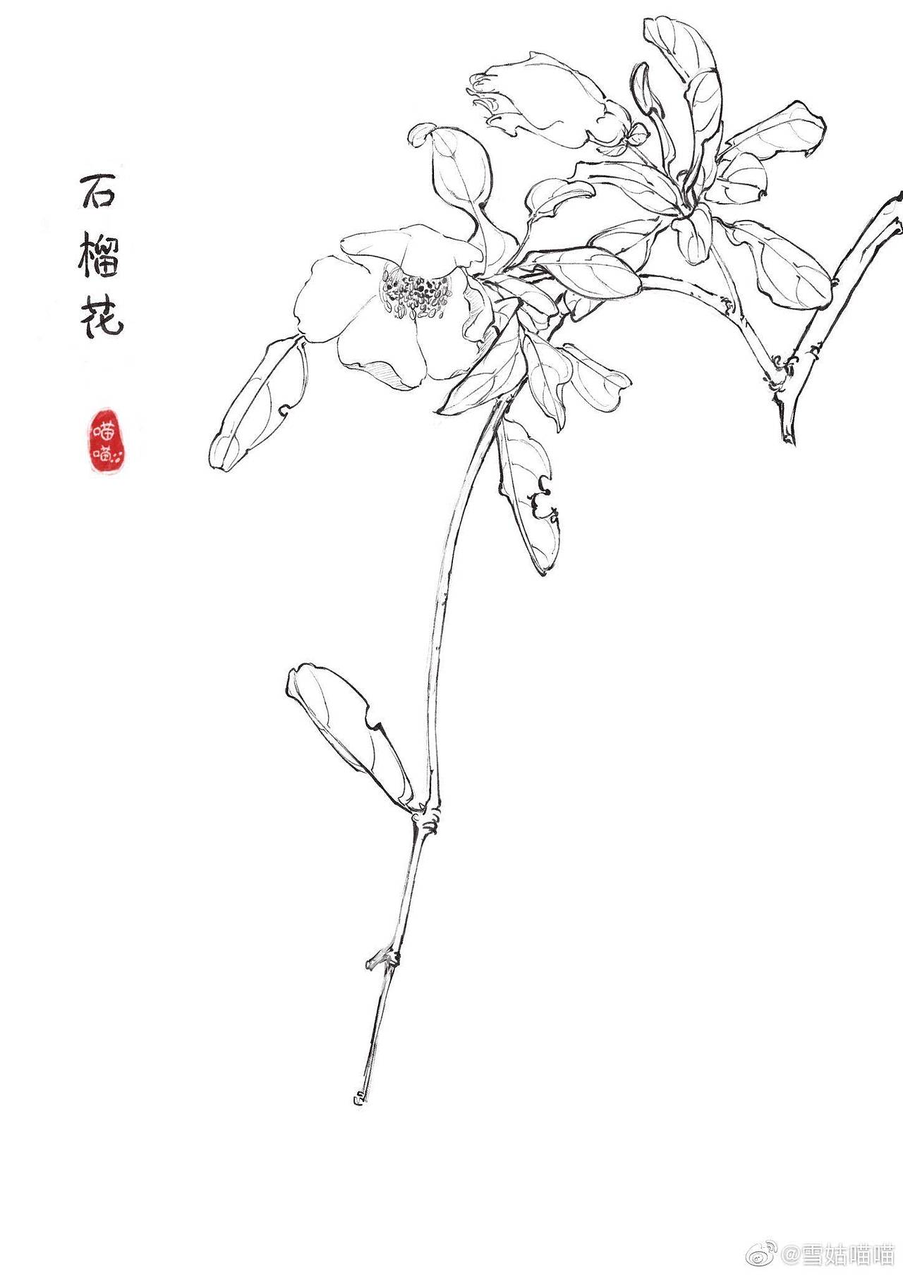 【古风】速写百花-石榴花94|纯艺术|绘画|雪姑喵喵_原创作品-站酷
