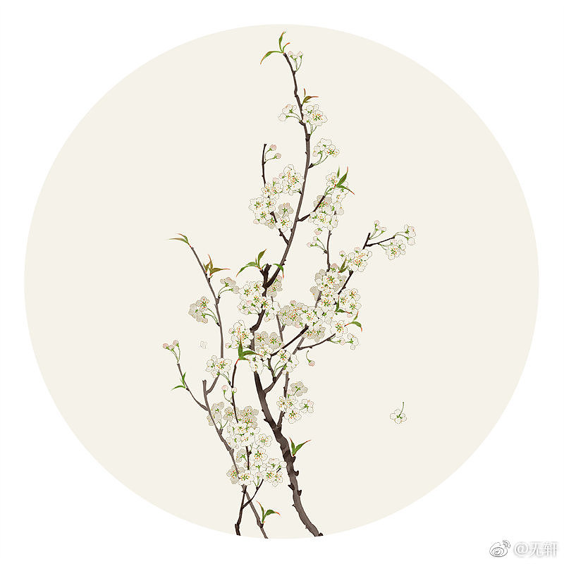 莳花。续（图ZMTU0MzU5MzMy） - 创作习作 - 站酷设计师无轩花莳记原创素材 - 站酷ZCOOL