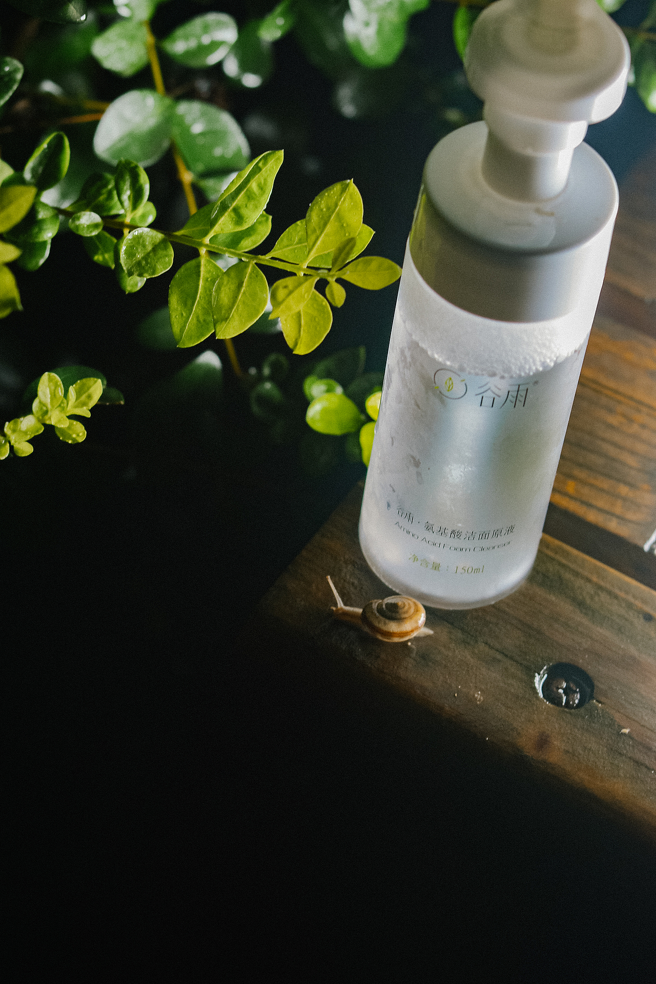 特别嘉宾（图ZMjM3MzQ0ODI4） - 产品摄影 - 站酷设计师散落一身月cm原创素材 - 站酷ZCOOL