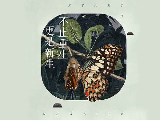 商业项目gif合集