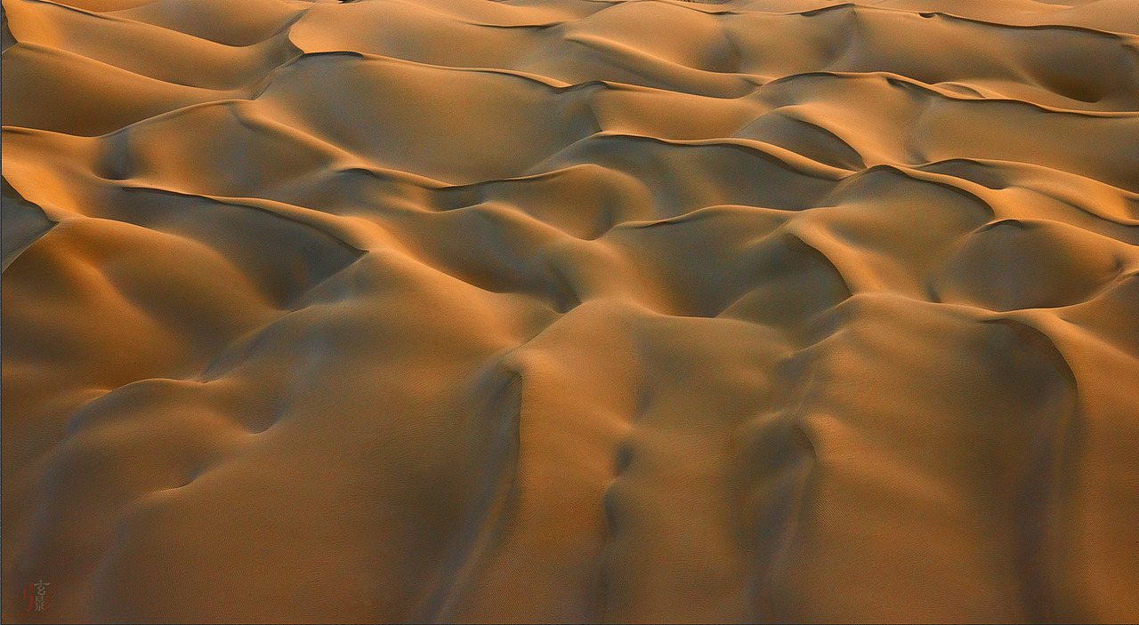 摄影—金色沙漠摄影
