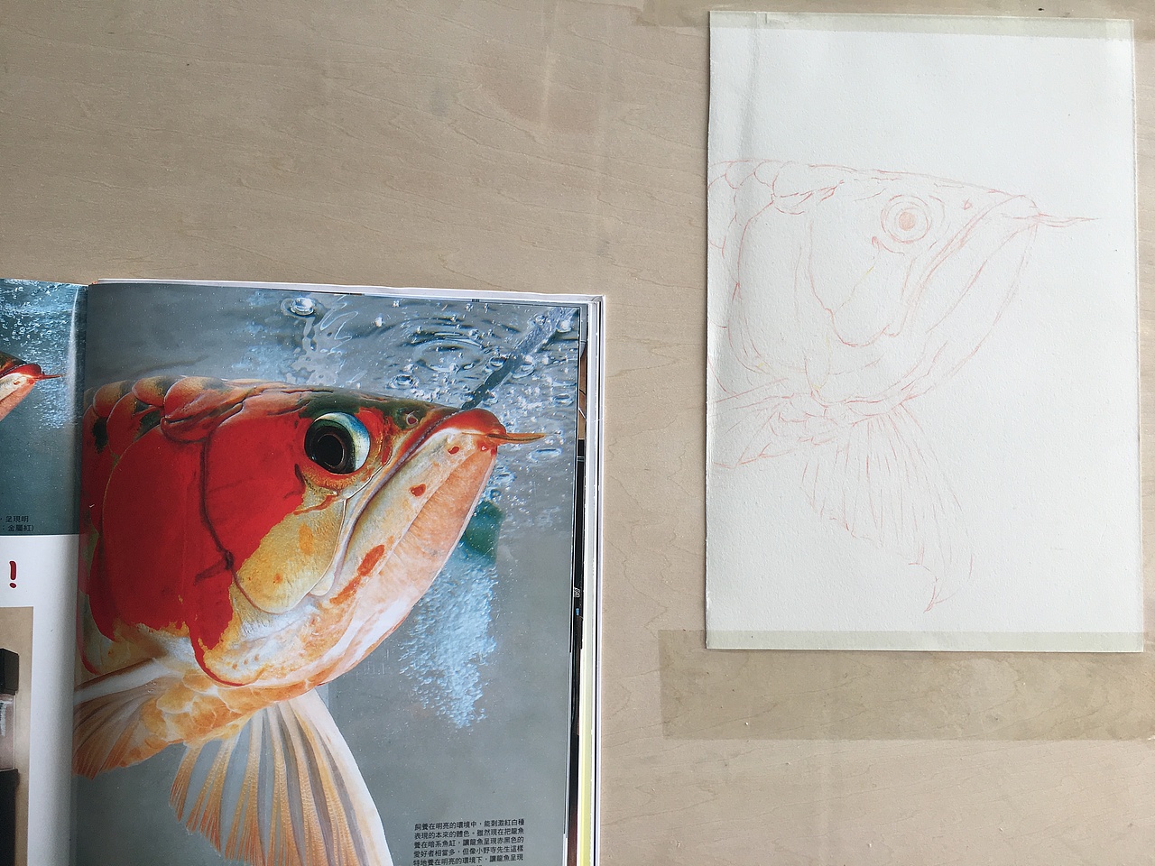 龙鱼第一回（图ZMTAzODAwOTIw） - 创作习作 - 站酷设计师_lelia原创素材 - 站酷ZCOOL