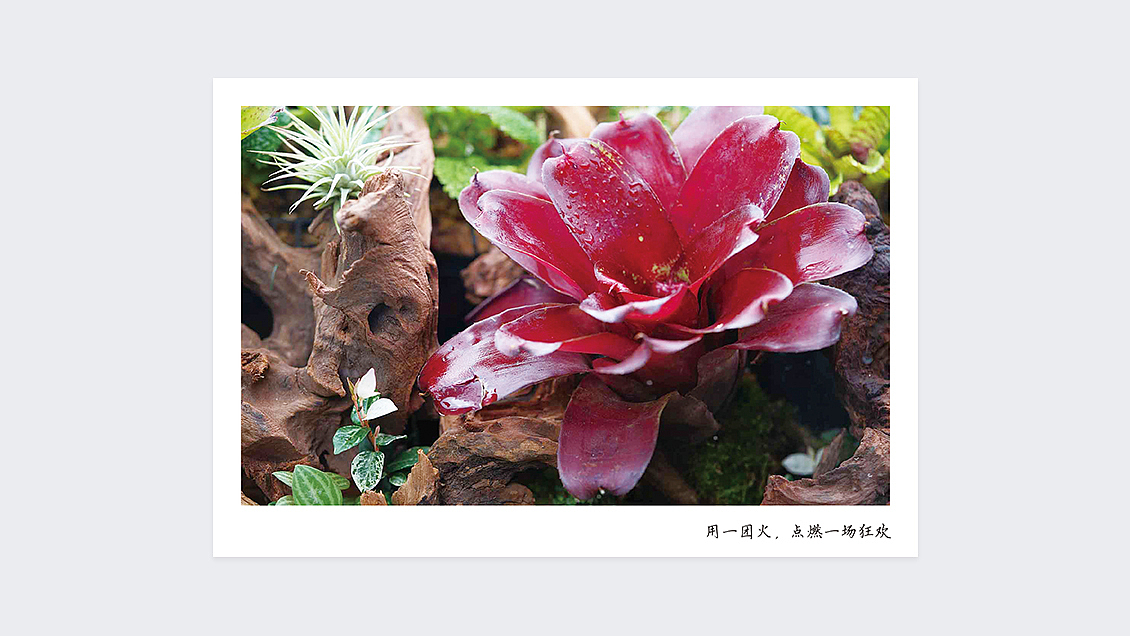 清筑自然 | 明信片 第一版（圖ZMTYwNTk4NDY4） - 宣傳物料 - 站酷設計師YAN_瑩兒原創(chuàng)素材 - 站酷ZCOOL