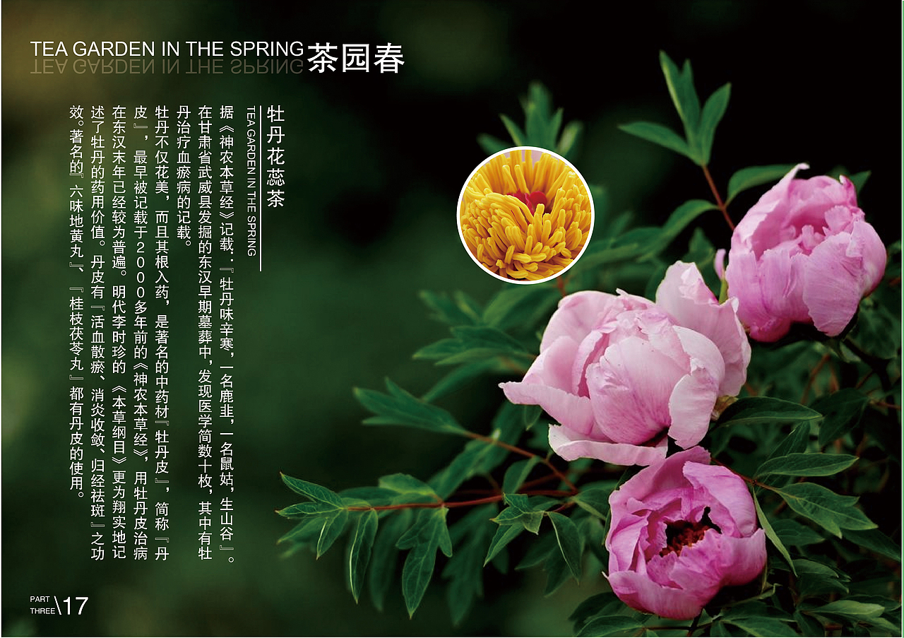 红麦穗画册（图ZMjY1MTU2Nzk2） - 书籍/画册 - 站酷设计师打鸡蛋的方便面原创素材 - 站酷ZCOOL