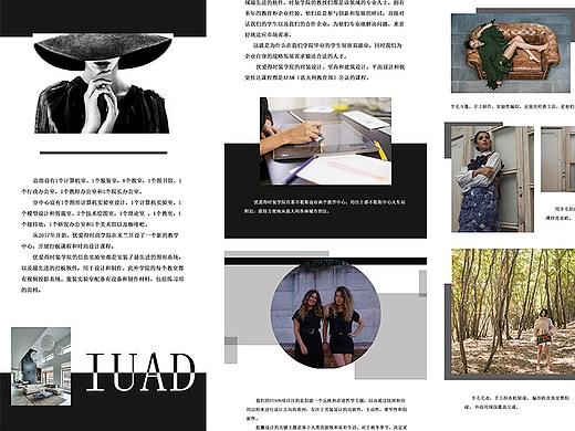 意大利品牌設(shè)計學(xué)院展板（個人主頁-ZNTYzNDc5MzI=） - 海報 - 站酷設(shè)計師七不七草莓原創(chuàng)素材 - 站酷ZCOOL