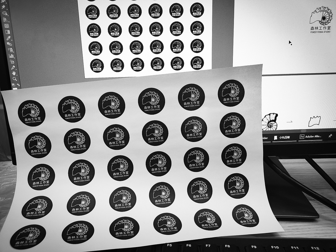 森林化石工作室logo