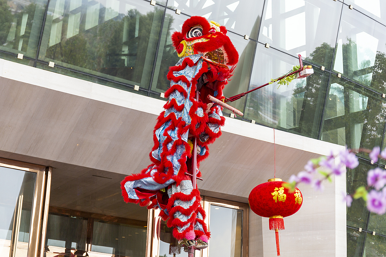 春节｜舞狮（图ZMjAwOTU1OTMy） - 人文/纪实摄影 - 站酷设计师垃圾中的战斗机原创素材 - 站酷ZCOOL