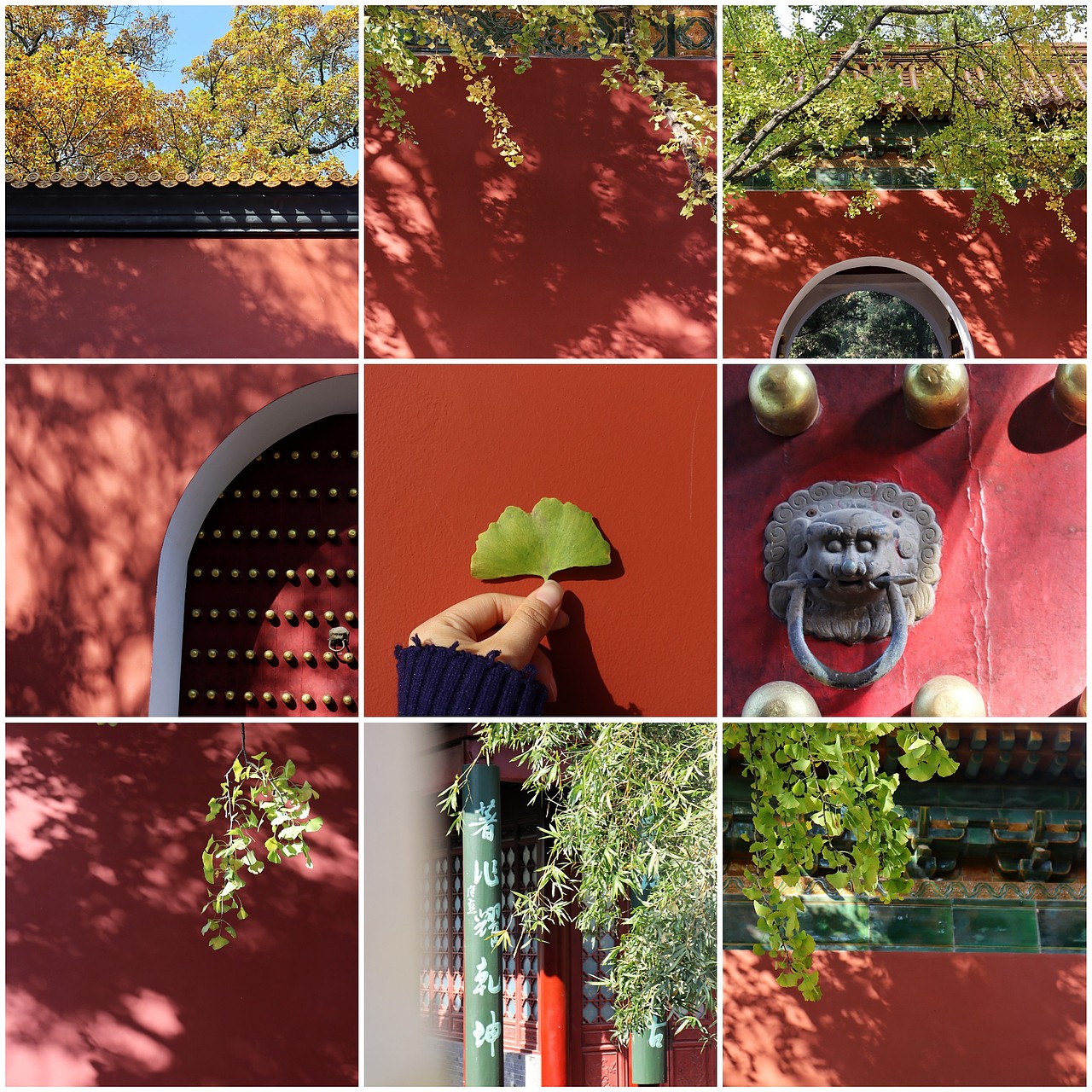 金陵的秋——明孝陵