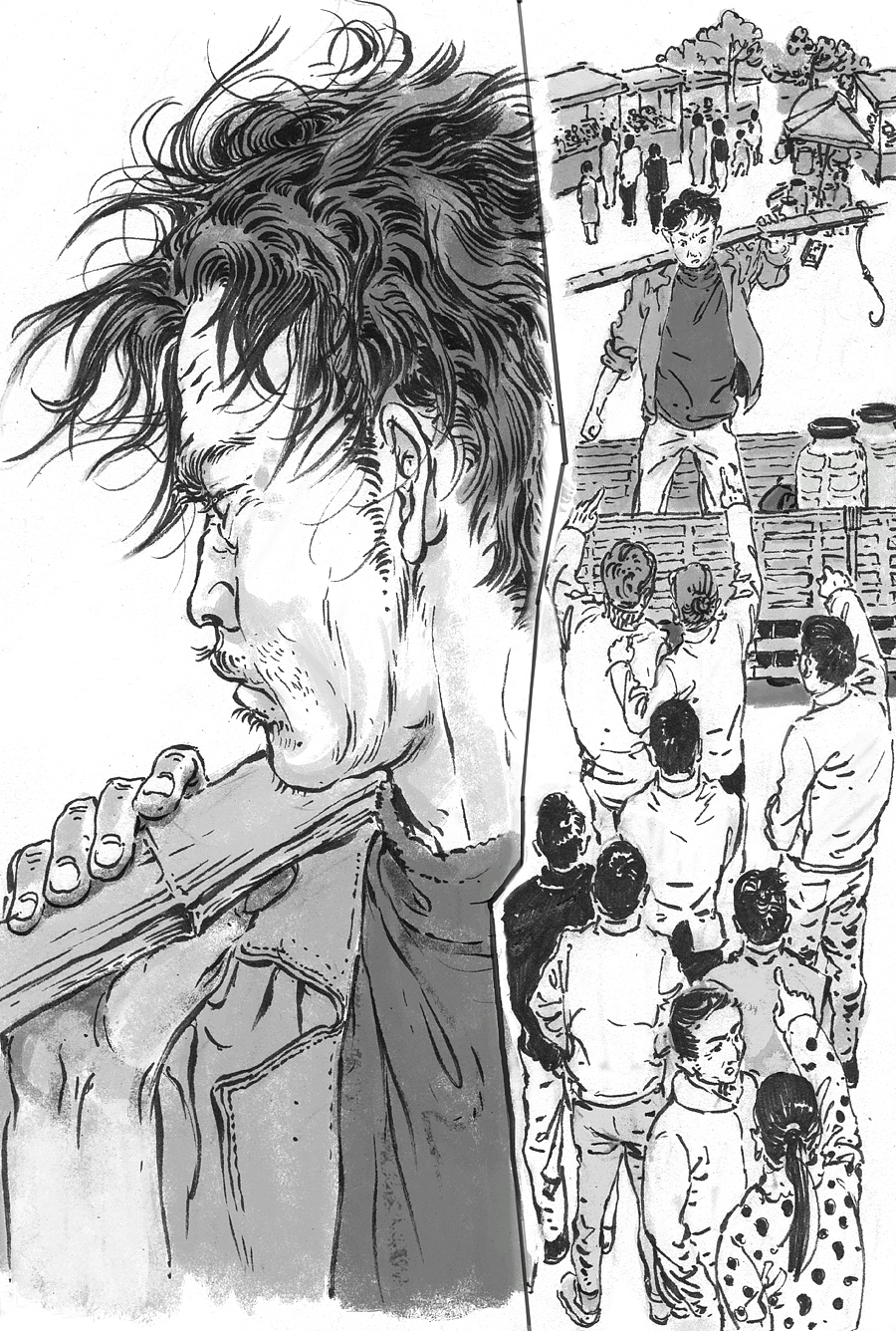 儿童文学 《驭蜂少年》金牌作家书系