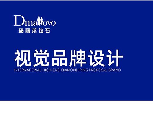 VI视觉识别系统手册设计