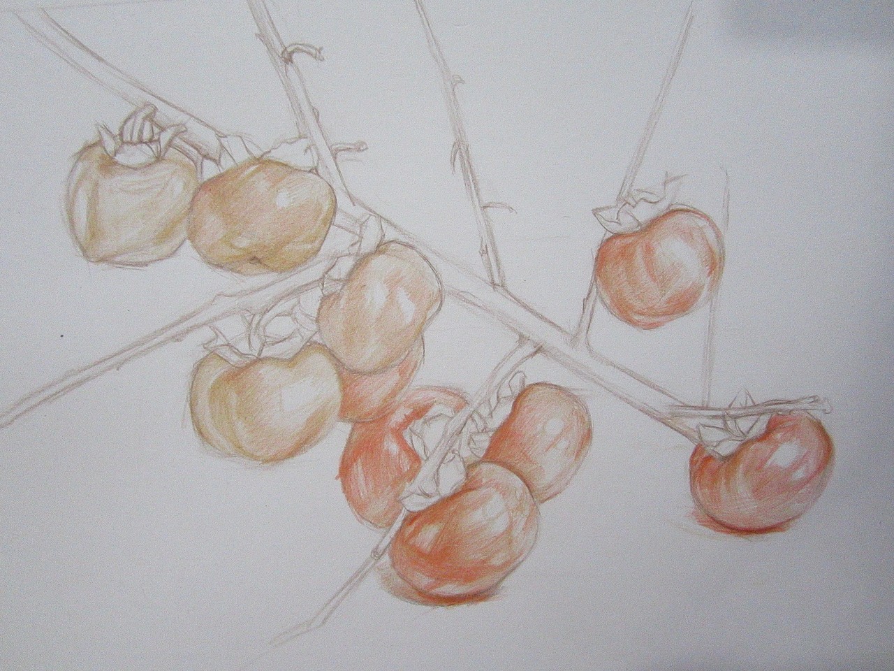 彩鉛————柿子（圖ZOTM3MDUxMg==） - 繪畫 - 站酷設(shè)計師魚兒乖原創(chuàng)素材 - 站酷ZCOOL