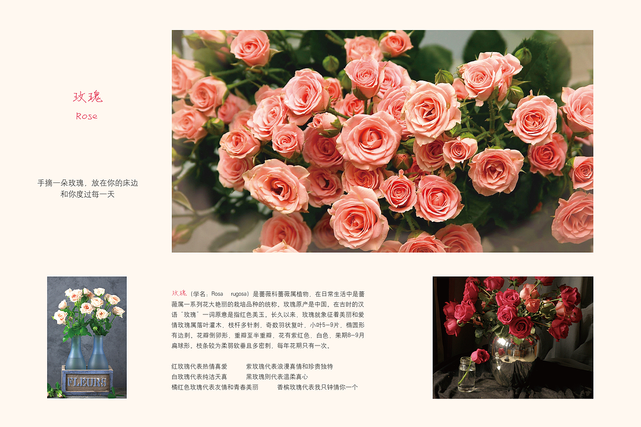 花店画册（图ZMTM4ODI4NzU2） - 书籍/画册 - 站酷设计师希姆原创素材 - 站酷ZCOOL