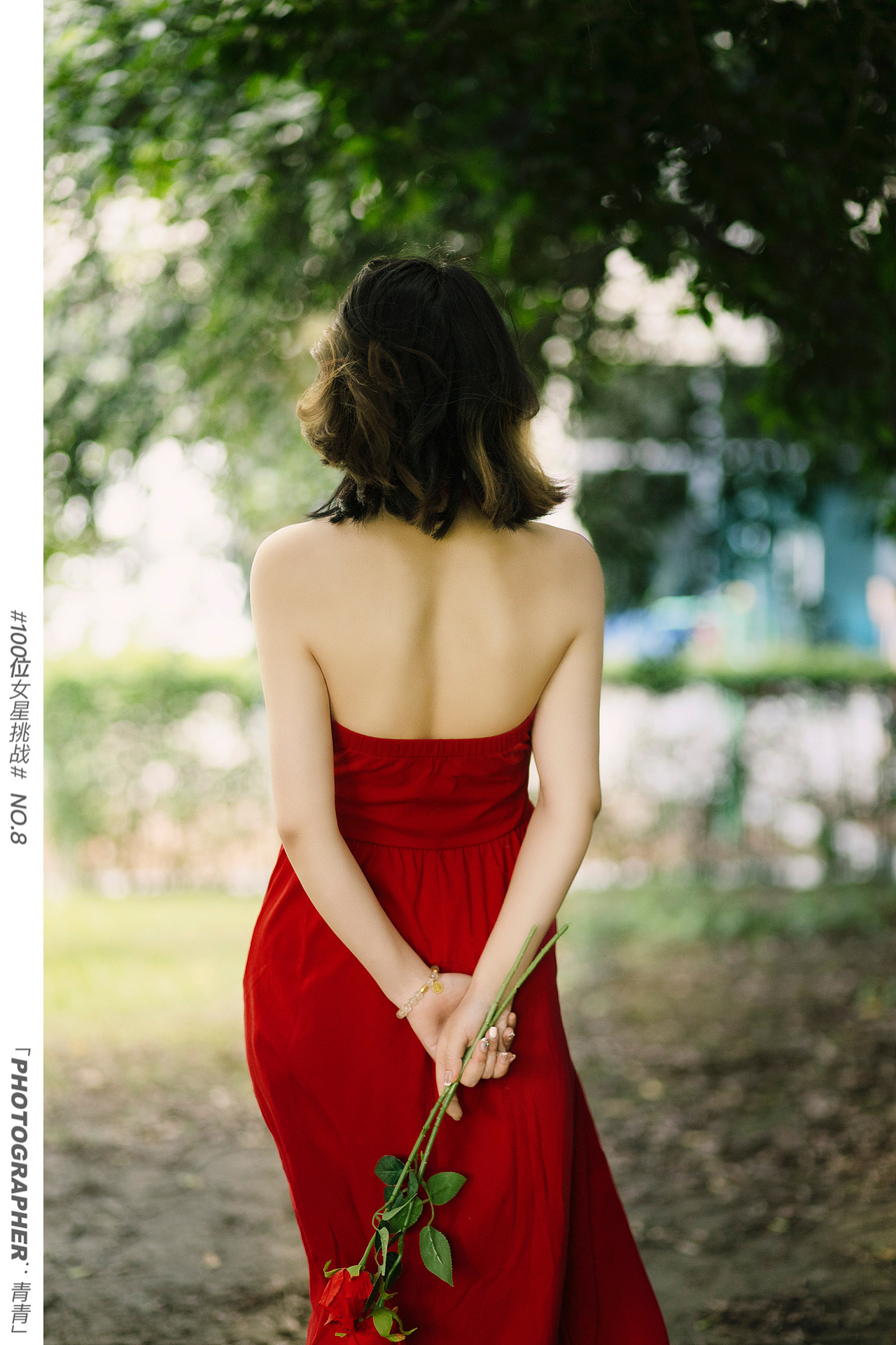 浪漫庄园的浪漫玫瑰