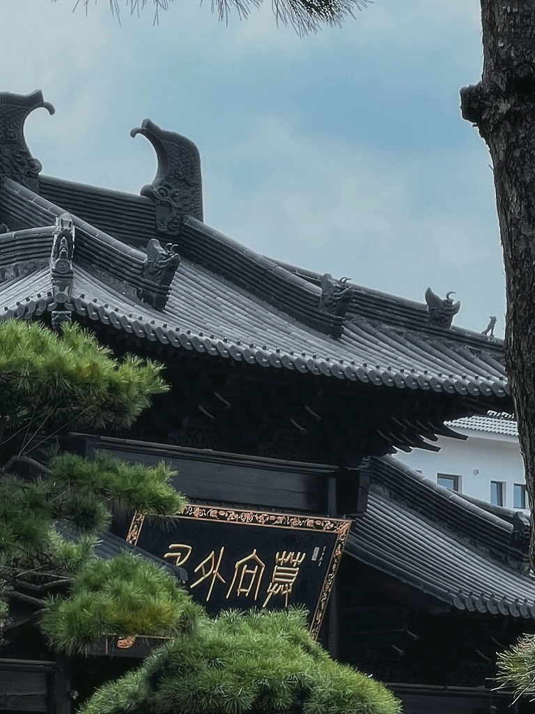 一些手机摄影日常