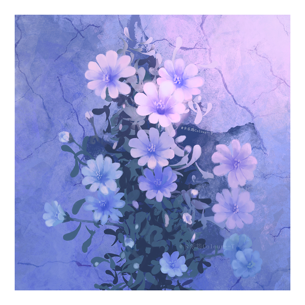 悬崖上的小雏菊（图ZMjMxMDgxMjM2） - 创作习作 - 站酷设计师卡乐筠原创素材 - 站酷ZCOOL