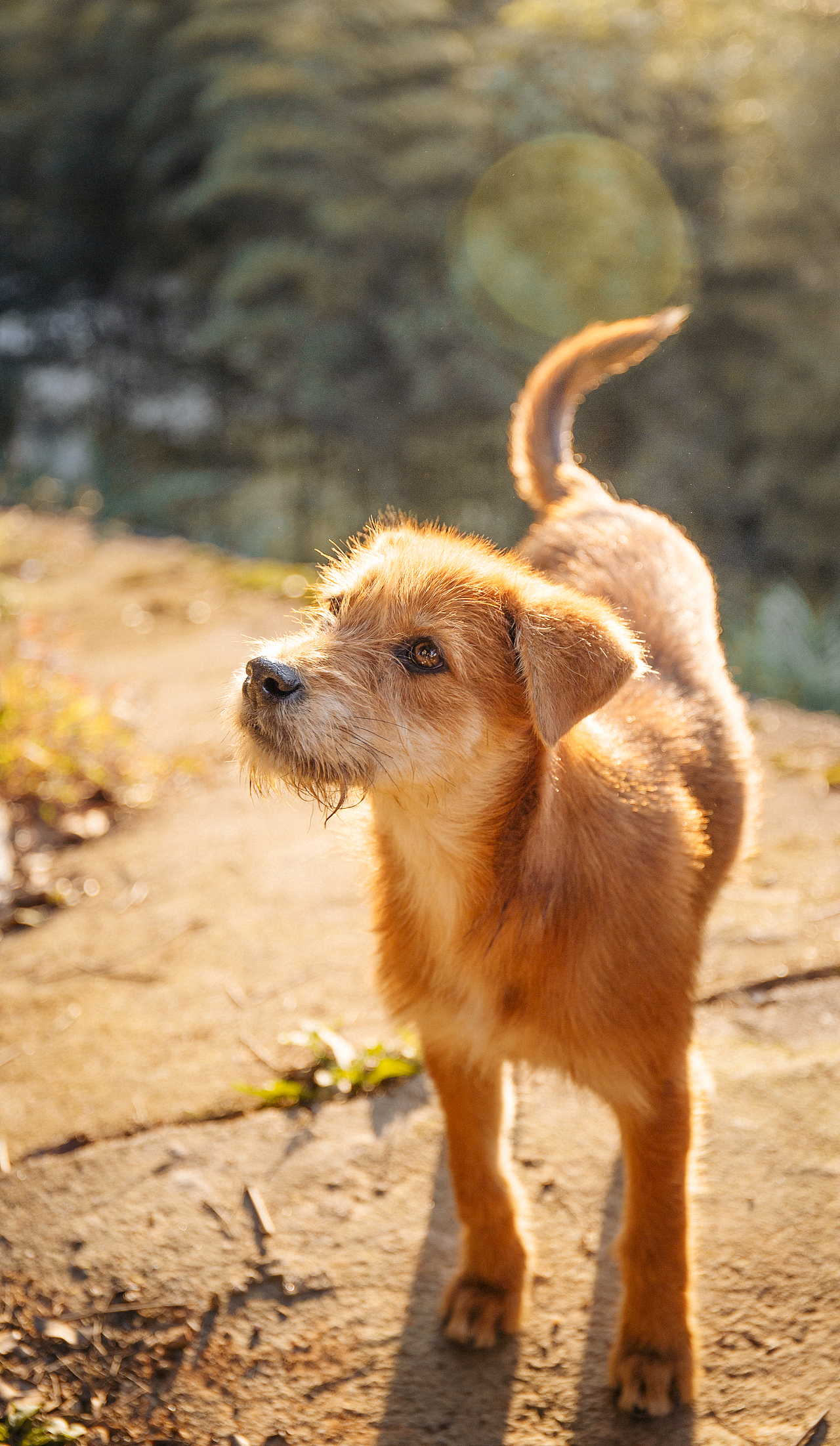 宁国记不得哪个寺庙遇到的
