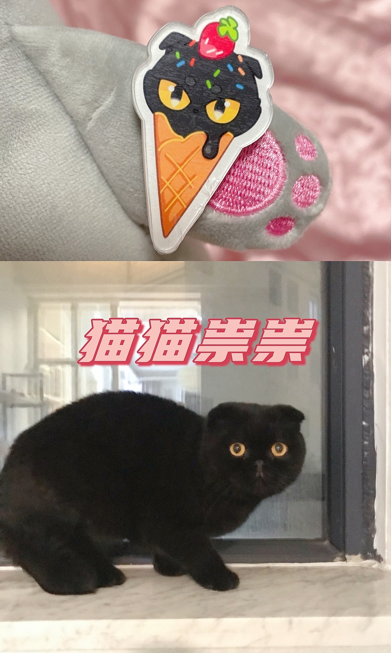【Cat Ice Cream】| 徽章設(shè)計 | 貓咪冰淇淋（圖ZMjY0Nzk0NDA4） - 首飾設(shè)計 - 站酷設(shè)計師一羊少俠原創(chuàng)素材 - 站酷ZCOOL