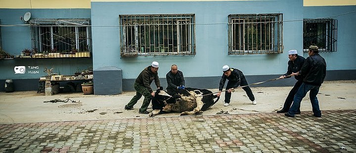 100张照片，一幅用脚丈量的摄影地图（图ZNjg1NDI5MzI=） - 风光摄影 - 站酷设计师唐大王原创素材 - 站酷ZCOOL