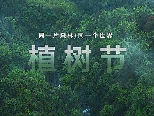 清明海报（个人主页-ZNTI1Mjc2OTY=） - 海报 - 站酷设计师c 奔原创素材 - 站酷ZCOOL