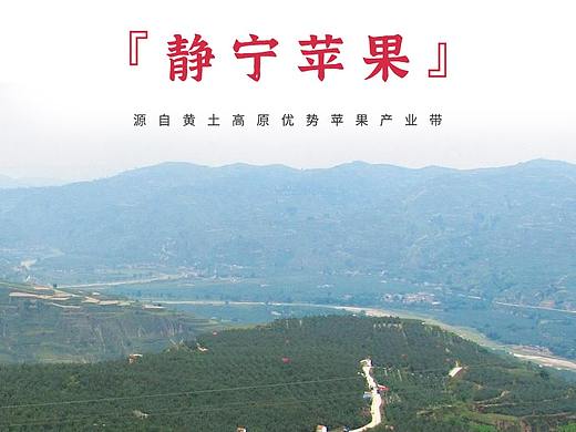 甘肃静宁苹果电商详情页众筹详情页设计方案展示