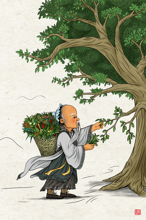 几种版本的《采药图》